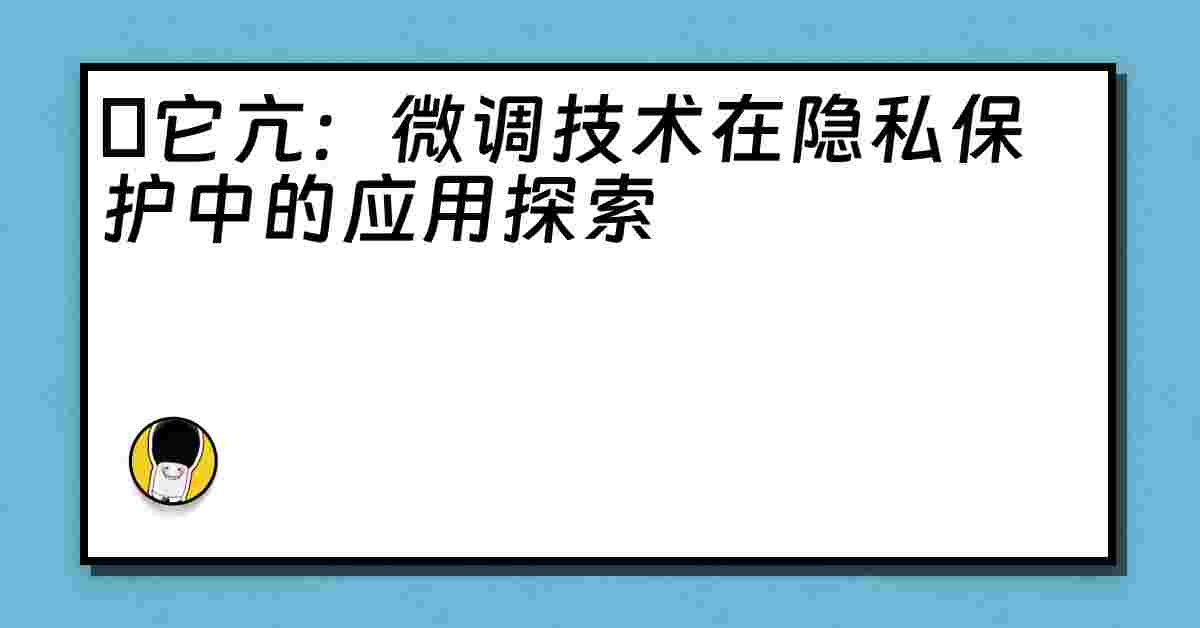 哋它亢：微调技术在隐私保护中的应用探索